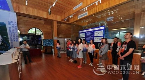 智能制造與網絡科技雙輪驅動，為南康家具產業注入創新動能