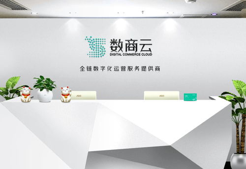 廣州市數(shù)商云網(wǎng)絡(luò)科技 專業(yè)的計算機(jī)服務(wù)解決方案